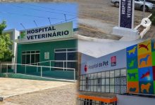 Campina Grande carece de hospital veterinário público e protetores cobram ação da Prefeitura