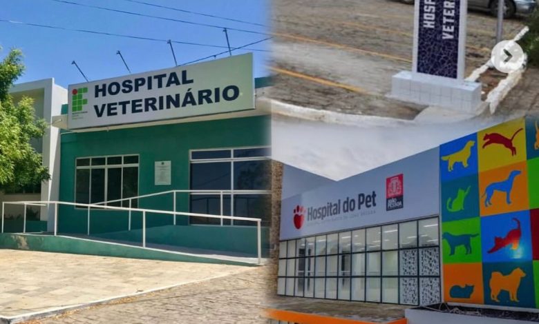 Campina Grande carece de hospital veterinário público e protetores cobram ação da Prefeitura Campina Grande carece de hospital veterinário público e protetores cobram ação da Prefeitura